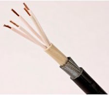 Copper Co - Axial Armoured Cable