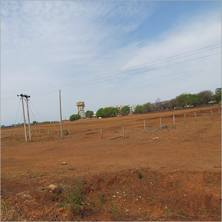 Planted Forests for Sale