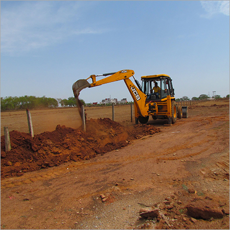 Custom Planted Forest