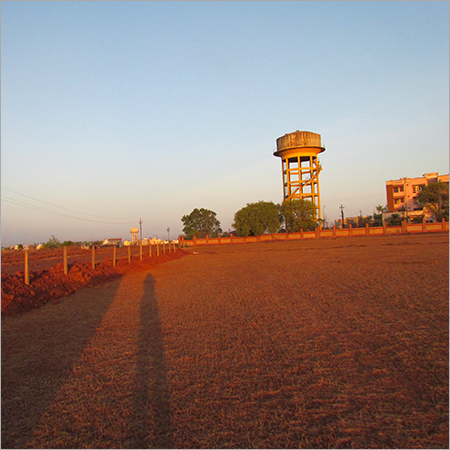 Mixed Species Tree Planting Land