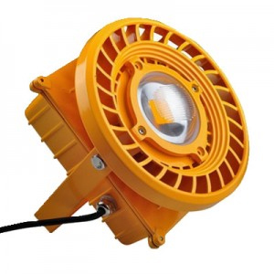 30W Explosion proof Light