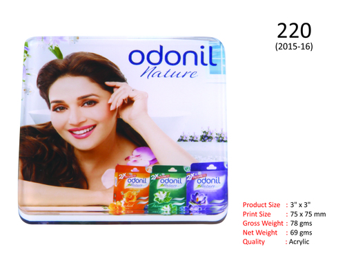 Promotional Paper weight