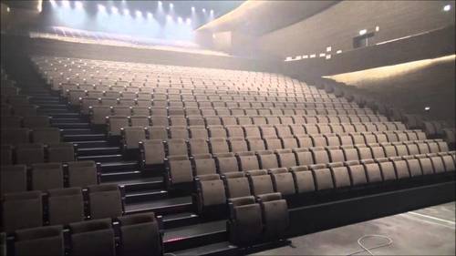 Auditorium Multiplex Chairs
