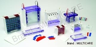 Vertical Gel Slab Migration Apparatus