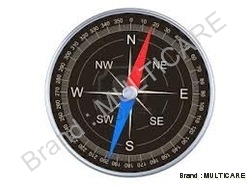 Magnetic Compass