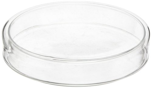 Petri Dish
