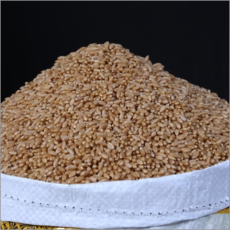 India Raw Wheat
