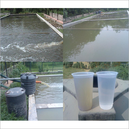Sewage Treatment Plants