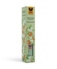 Reed Diffuser Refill Pack (Orange Blossom)