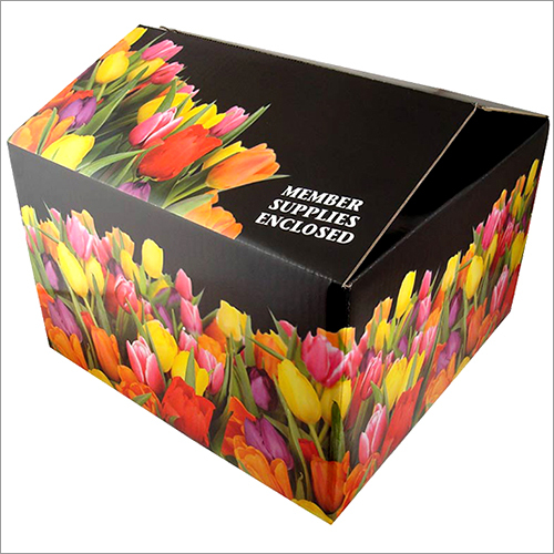 Offset Printed Carton Box