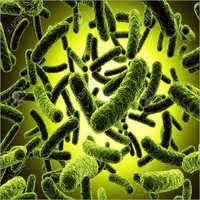Wastewater Bioremediation Treatment