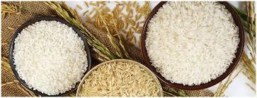 Indian Rice