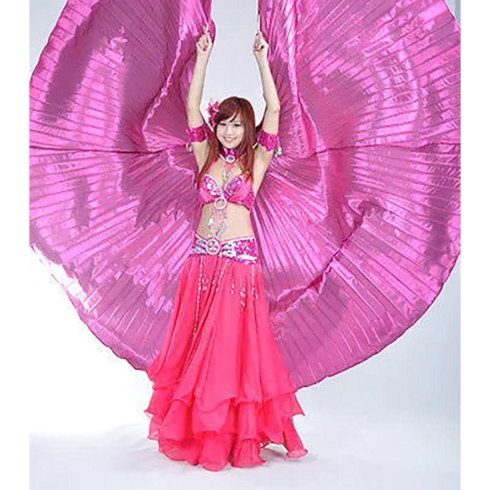 Purple Belly Dance ISIS Wing with Top Skirt