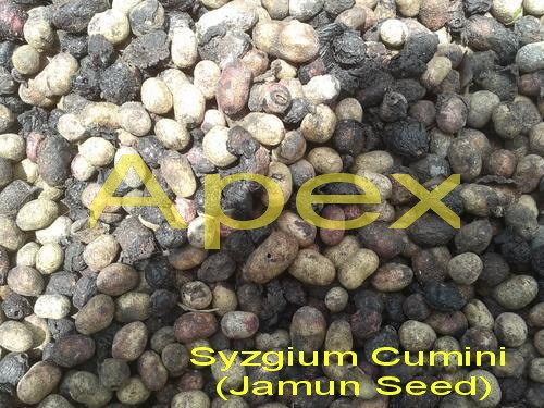 Natural Jamun Seed Ingredients: Herbs