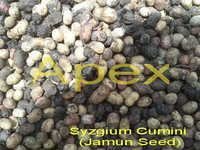 Natural Jamun Seed