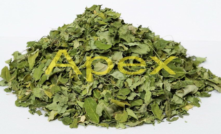 Moringa Leaves Powder