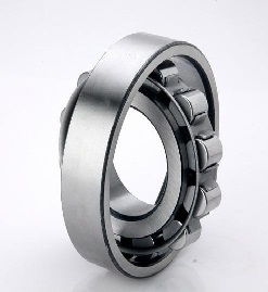 Sumo Cylindrical Roller Bearings