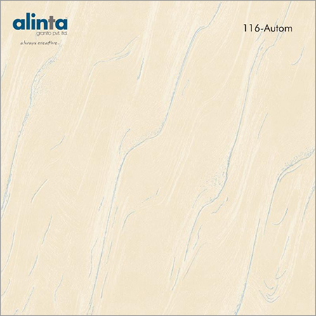 Autom Vitrified Tiles