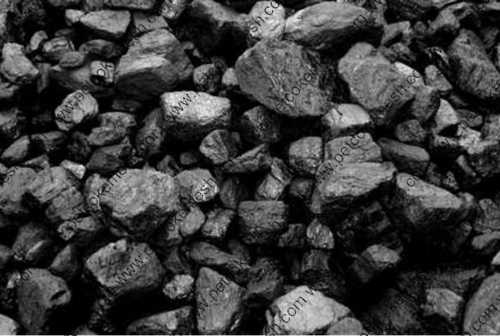 Steam Coal
