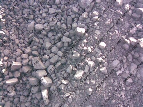 Steam Coal 5400 GCV