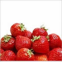 Strawberry Soft Drink Concentrate