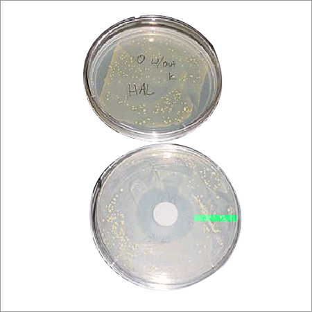 Anti Bio Disc