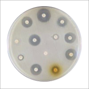 Bio Disc