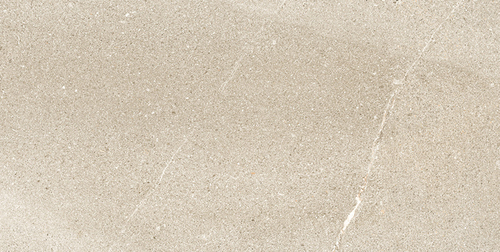 600 X 1200 Ceramic matt Tiles