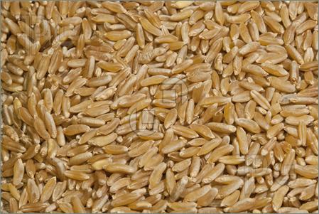 Brown Raw Basmati Rice