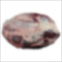 Buffalo Meat