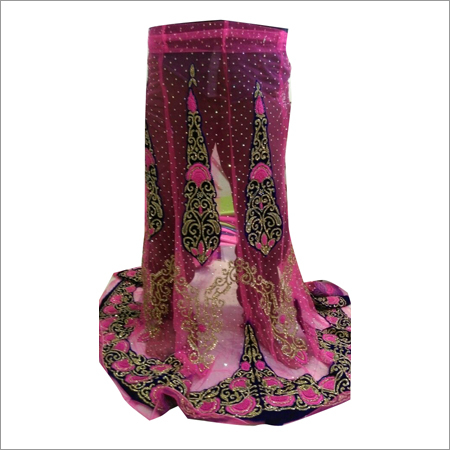 Designer Embroidered Lehenga