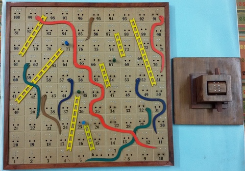 Snake & Ladder Board Game By ADVANCE ENGINEERING WORKS