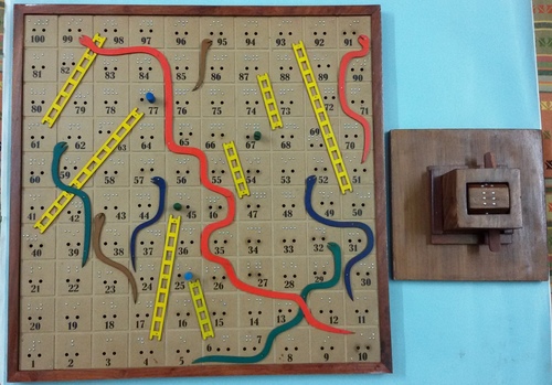 Snake & Ladder Board Game