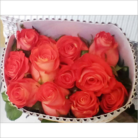 Dutch Roses
