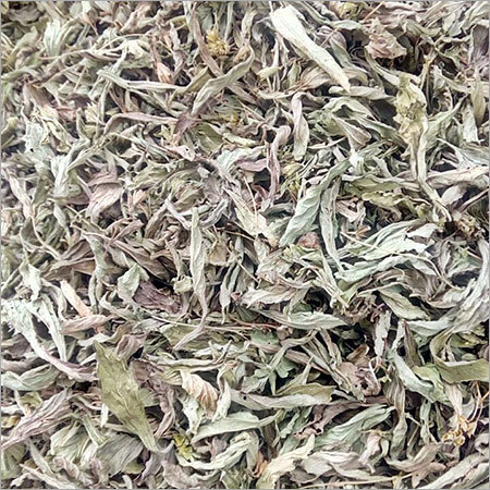 Stevia Dry Leaves