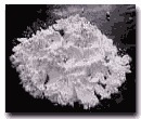 Ground Mica Powder & Flakes