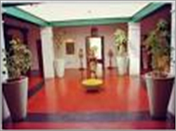 Wooden Furniture Polish