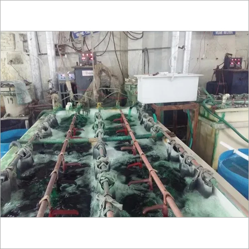 Online Nickel Dummy Unit