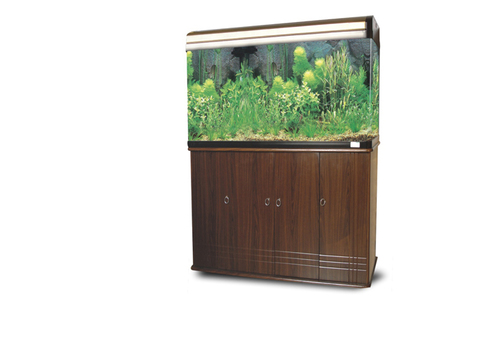 Designer Aquarium Tank