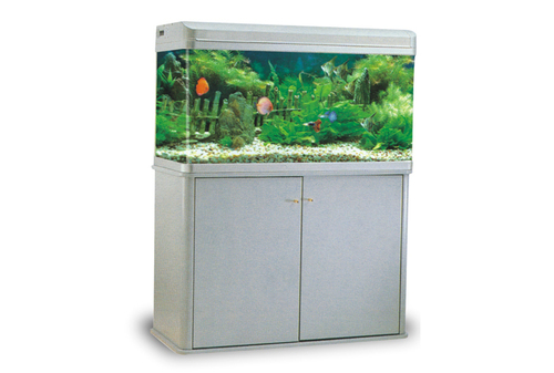 Fish Aquarium