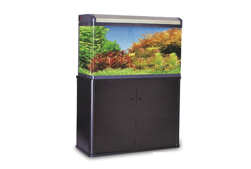 Stylish Fish Aquarium