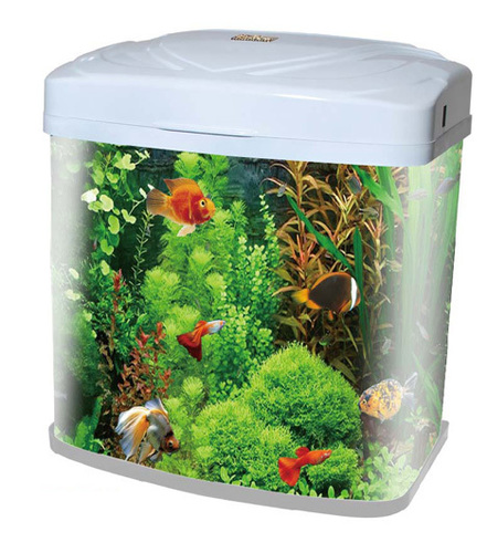 Fish Aquarium - Glass & Plastic, Varying Sizes, LED Lighting | Ample Space, Attractive Look, Durable Build, Easy Cleaning, Elegant Design