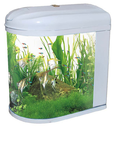 Fish Aquarium - Glass & Plastic Material, Varied Sizes, Multiple Capacity Options | Alluring Design, Durable, Easy Maintenance, Integrated Lighting, 1-Year Warranty