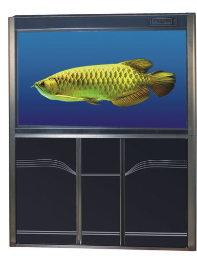 Aquarium Tank