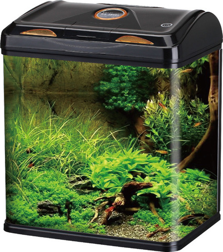 Aquarium Tank