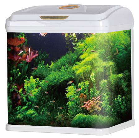 Aquarium Tank