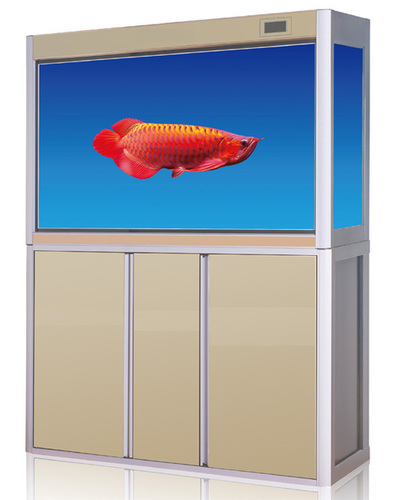 Aquarium Tank