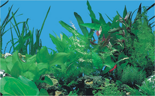 Aquarium Plastic Background - 30-99cm x 15m, Green | Durable Material, Easy Application, Realistic Design, Vibrant Colors, Waterproof