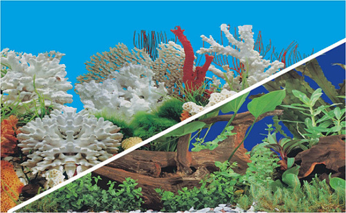 Aquarium Plastic Background