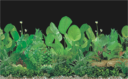Aquarium Plastic Background